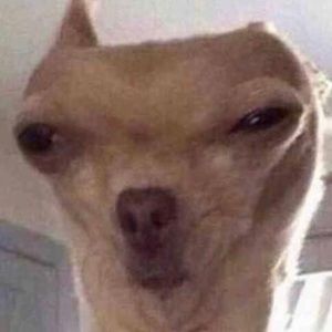 Meet your Posher, Ethan